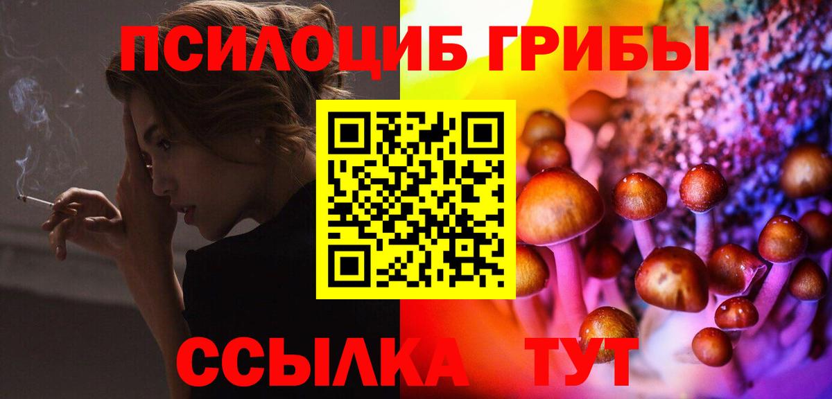 Галлюциногенные грибы прущие грибы Советская Гавань